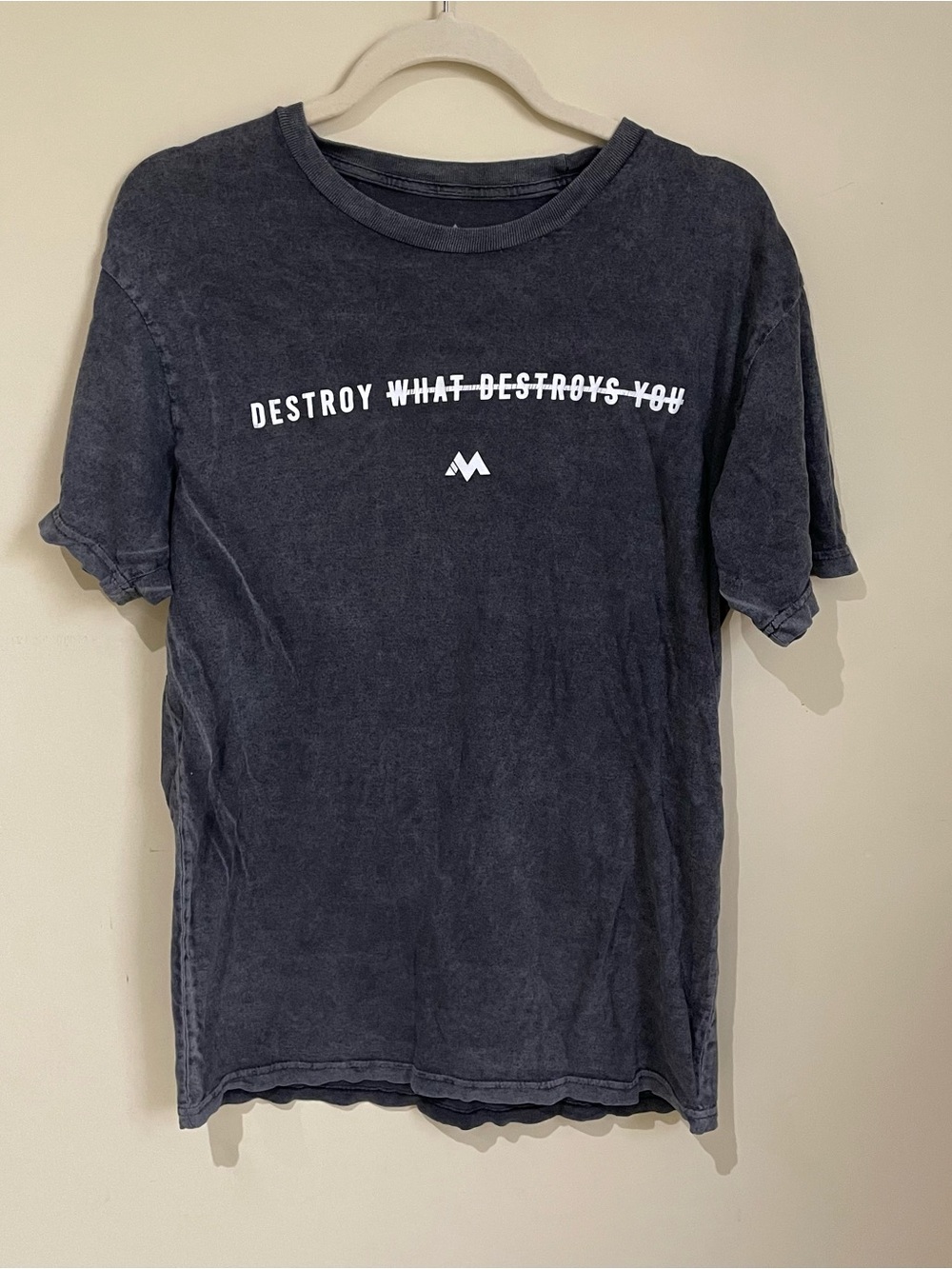 ⭐️Charcoal Short Sleeve Graphic Tee - Destroy What Destroys You⭐️